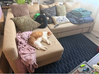 FREE IKEA COUCH