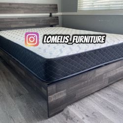 King Grey Aticus With Ortho Matres!!