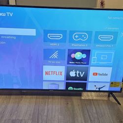 Roku onn TV Model 100133204