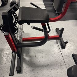 Leg Extensions And Leg Curl