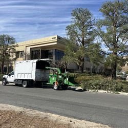 🪵Stump Removal🦦