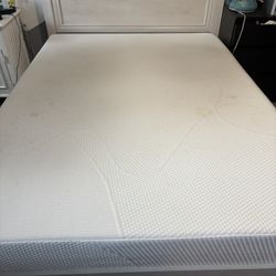 Platform Bed