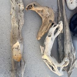 Driftwood For Reptile Or Aquarium For Exhibit 