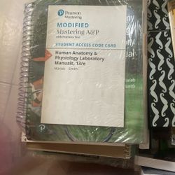 Human Anatomy & Physiology Lab 13 E