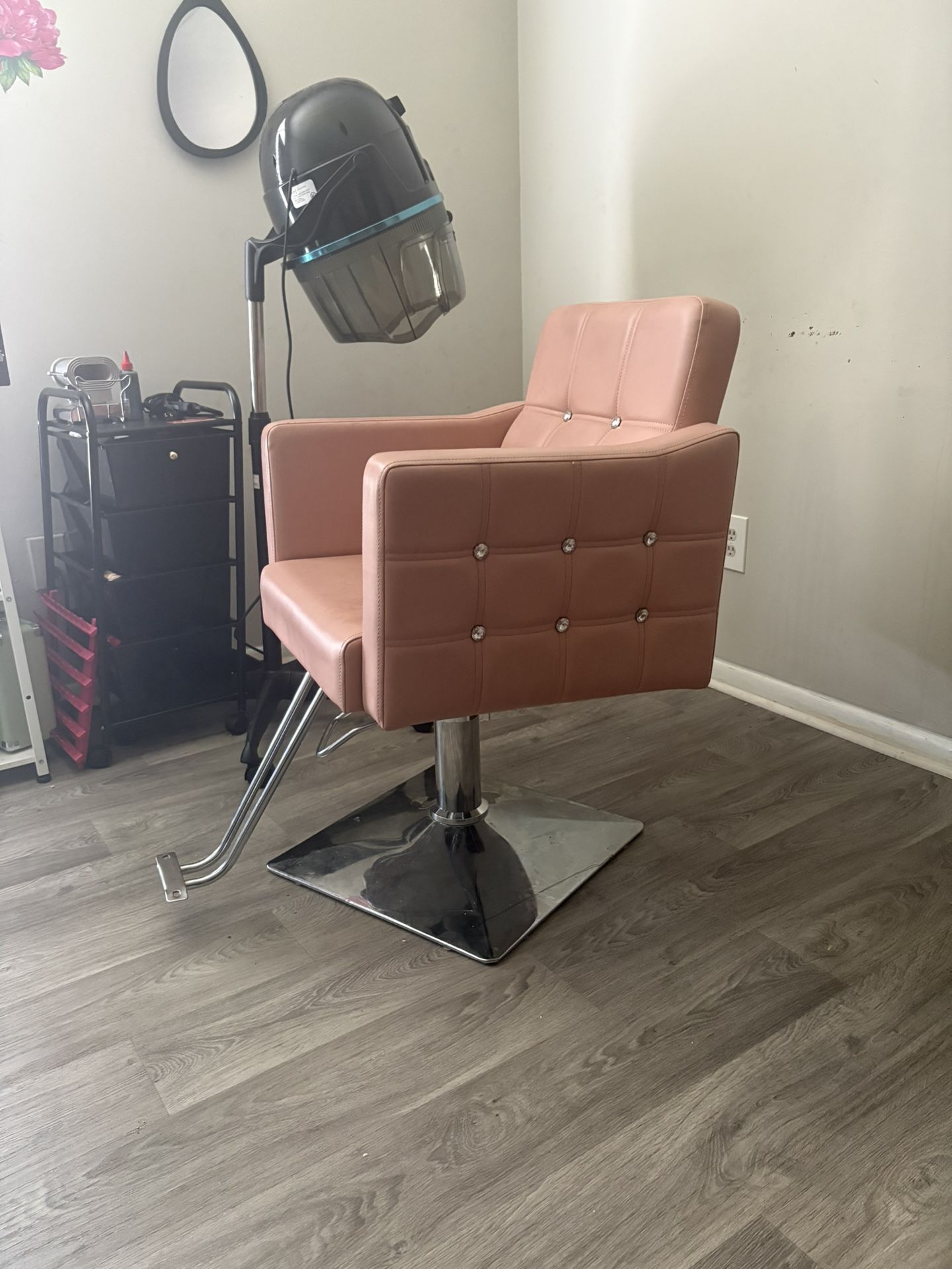 Pink Salon Chair