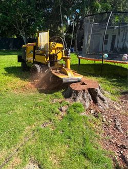 Stumps Grinding 