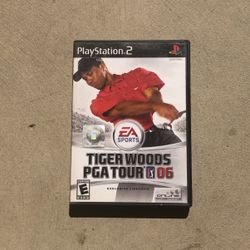 Ps2 Tiger Woods PGA tour