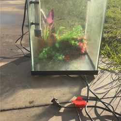 10 Gallon Fish Tank With Filter And Heater