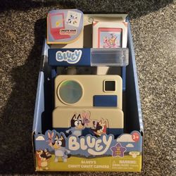 Bluey Camera