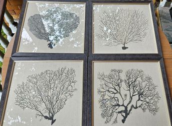 18X18, Set of 4 Shadow Sea Fan