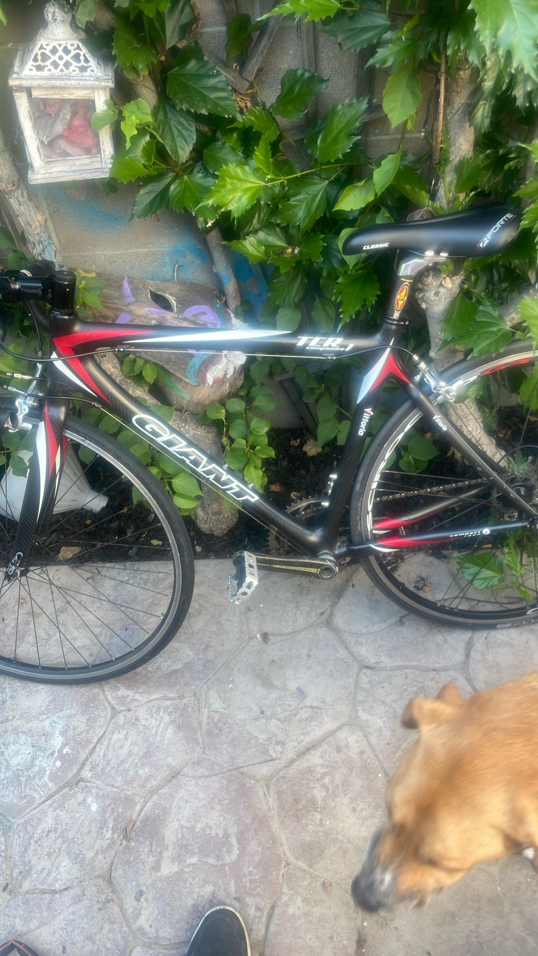 Carbon Fiber Giant Tcr 1
