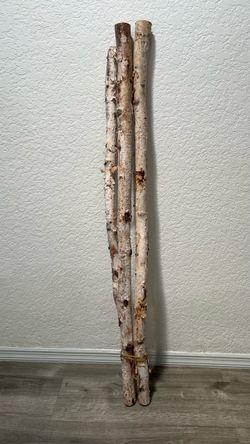 Birch Wood Poles Bundle