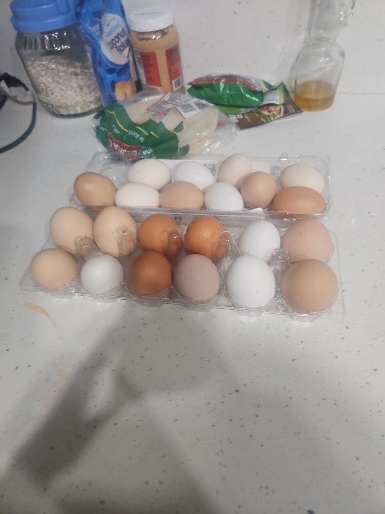 Huebos Hoganicos