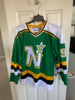 Minnesota north stars