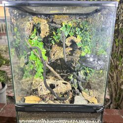 18x18x24 Terrarium – Reptile Enclosure / Vivarium Setup – Ready to Use 