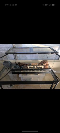 Large Glass Reptile Terrarium $50