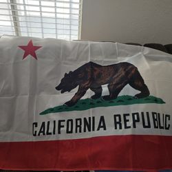 California Flag