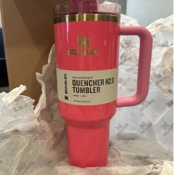 Stanley 40 oz tumbler Pink Parade Black Friday Limited Edition for Sale in  Naperville, IL - OfferUp
