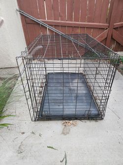 Dog cage