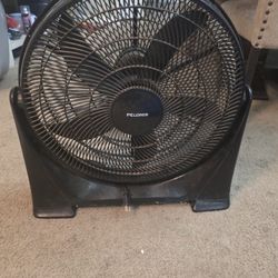 Fan 