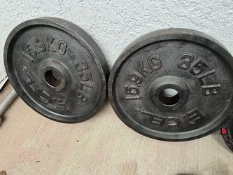 Gym Weights plates