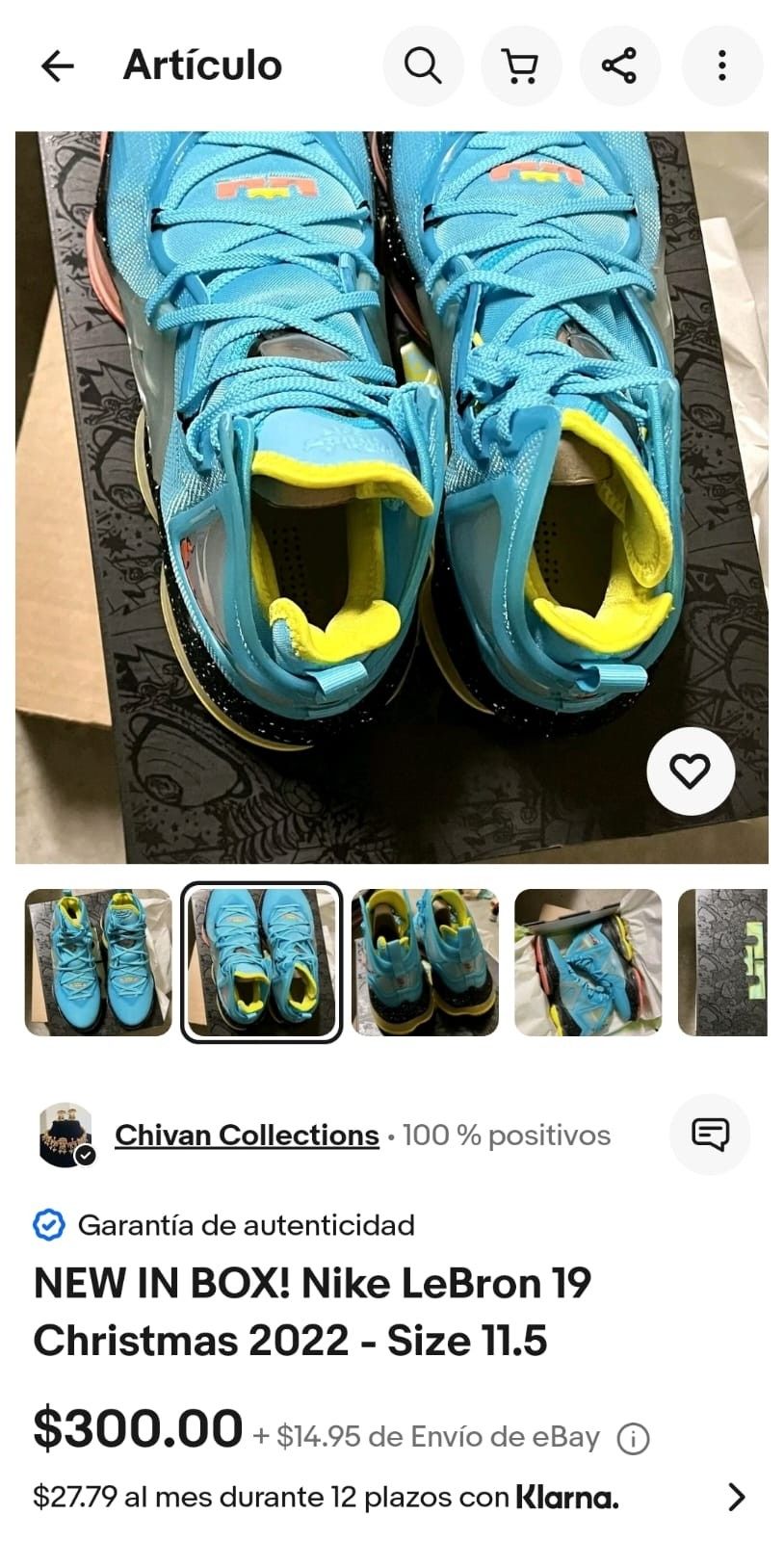 Nike lebron 19