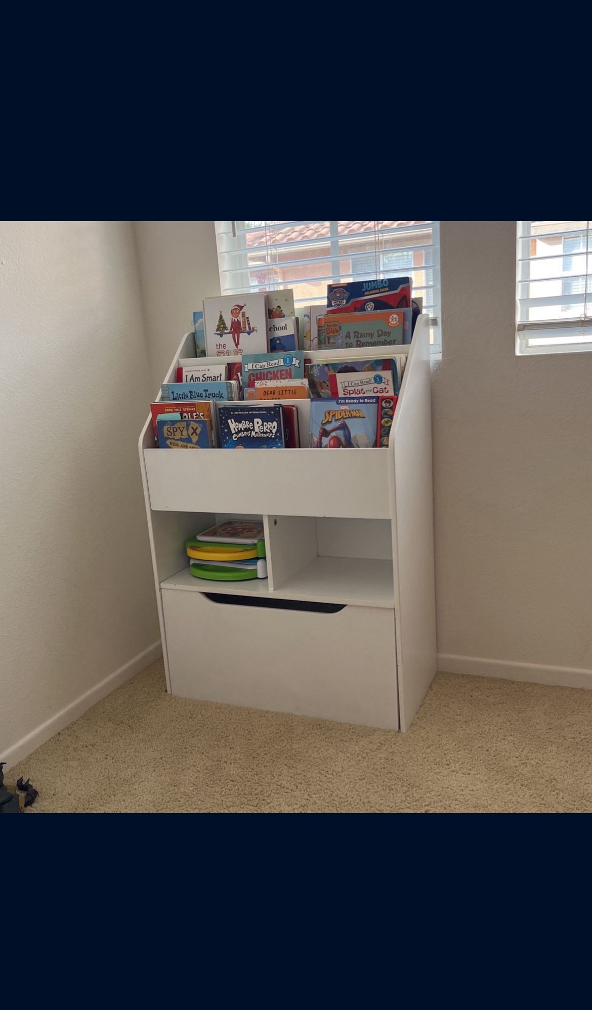 Bookshelf With Pullout Storage