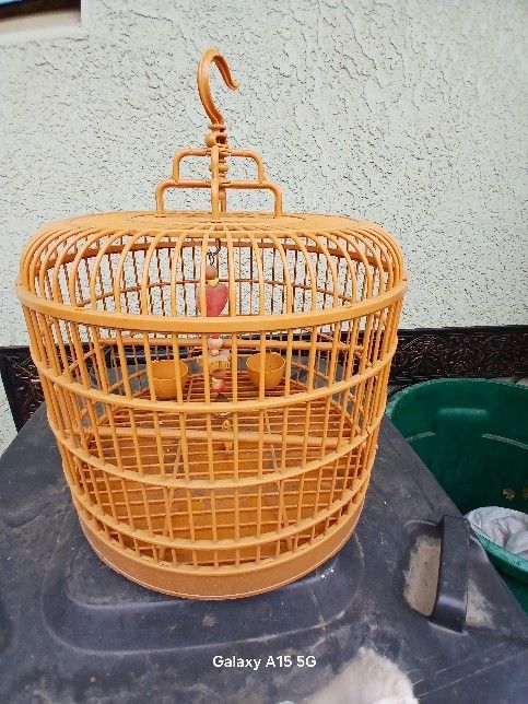 Small Bird Cage