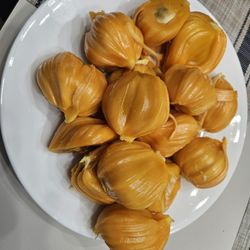 Jackfruit Plant For Sale.