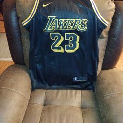Brand New LeBron James Jersey Size Large $60