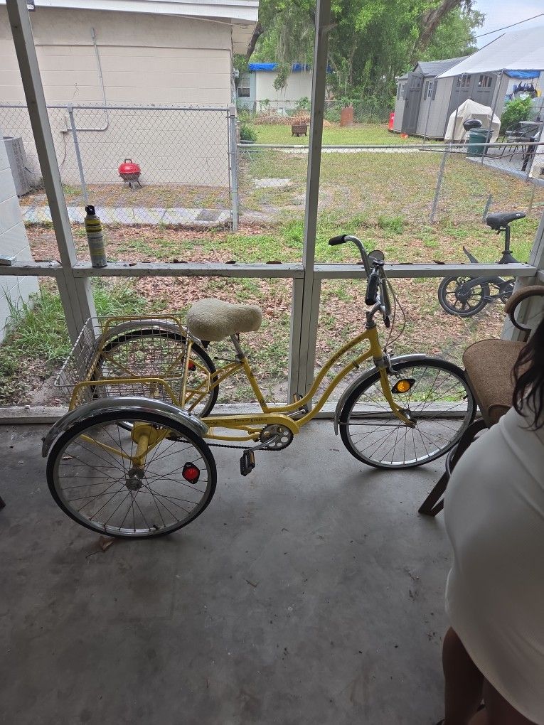 Schwinn BIKE