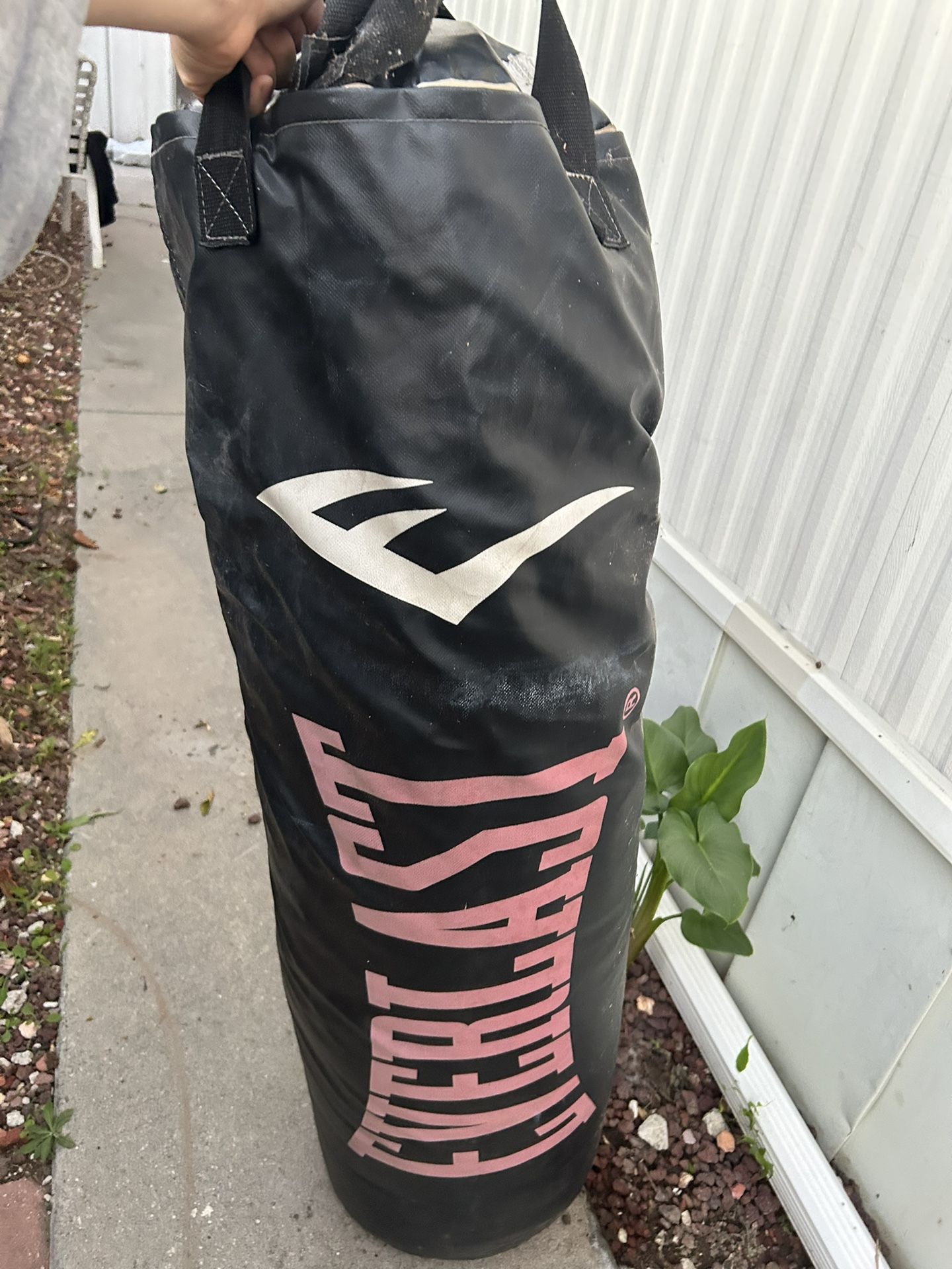 everlast punching bag