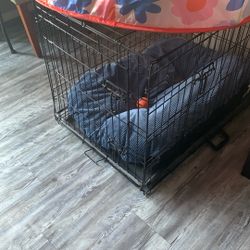 Dog Kennel  46 1/2 Inches Long 33 Inches Wide 35 Inches Length Down 