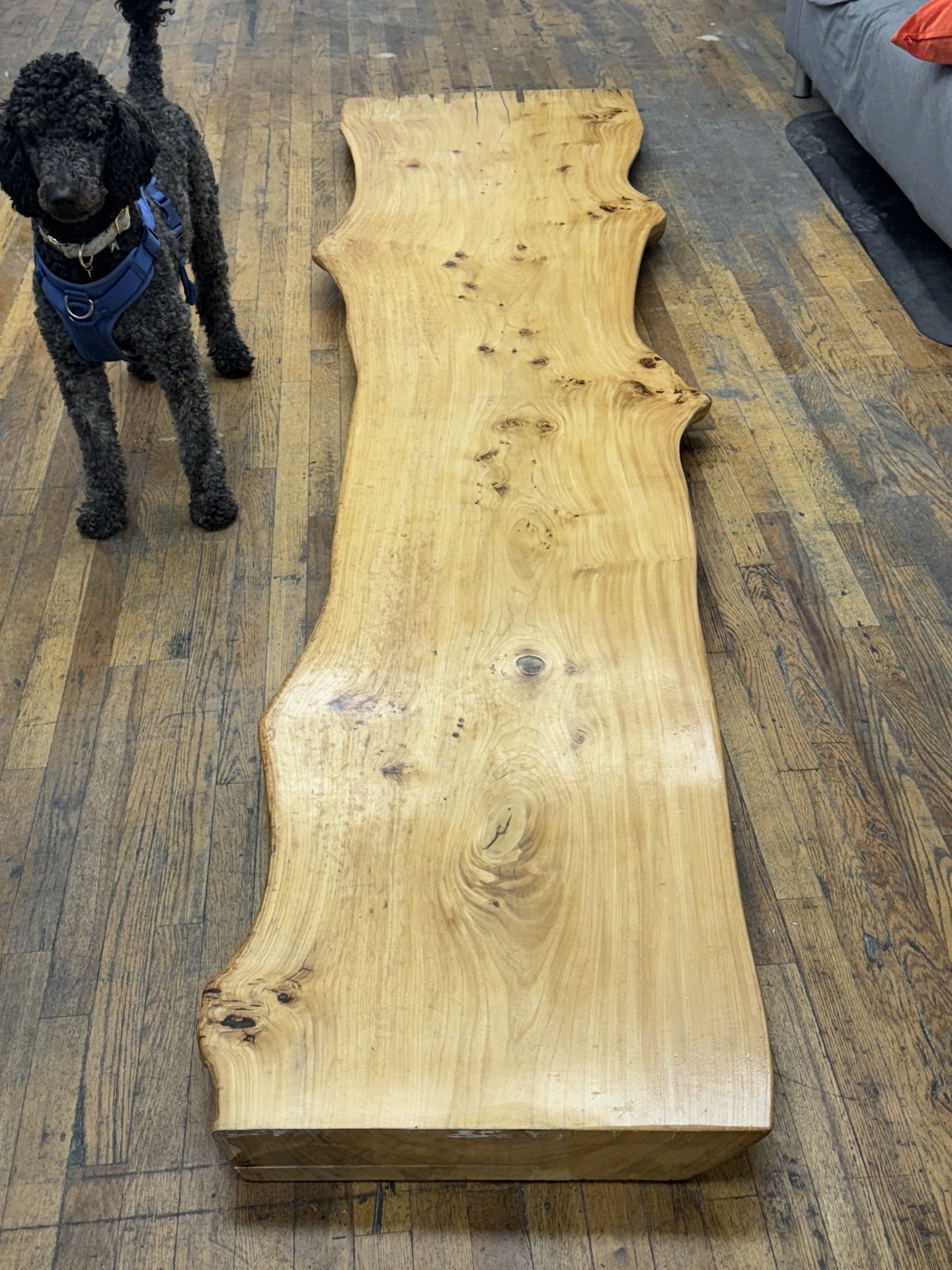 Live Edge 