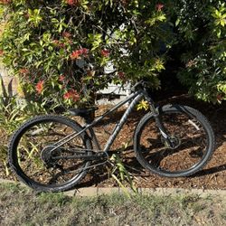 Specialized Mountain Bike, Sz Sm w 29”