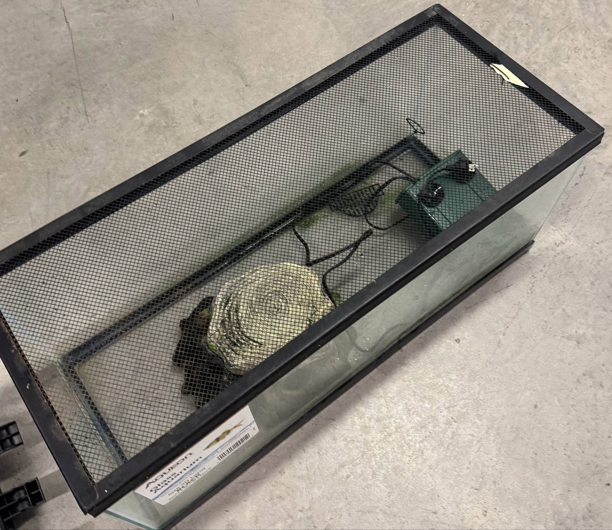 aquarium/turtle accessories 20 gal (Long) with filter
