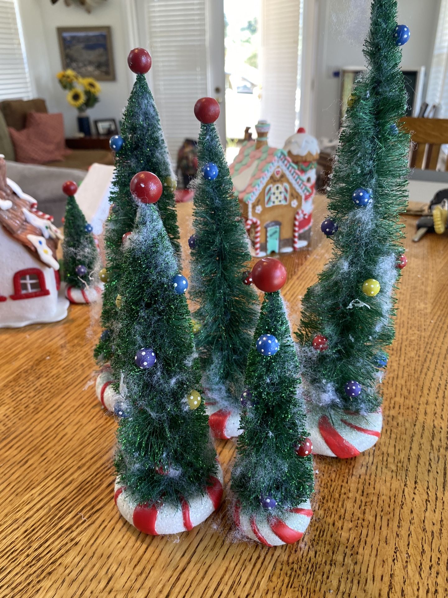 Peppermint Trees