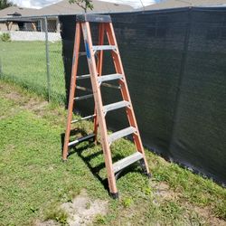 6 Ft Fiberglass Ladder