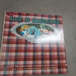 What Disney's Alison wonderland on vinyl