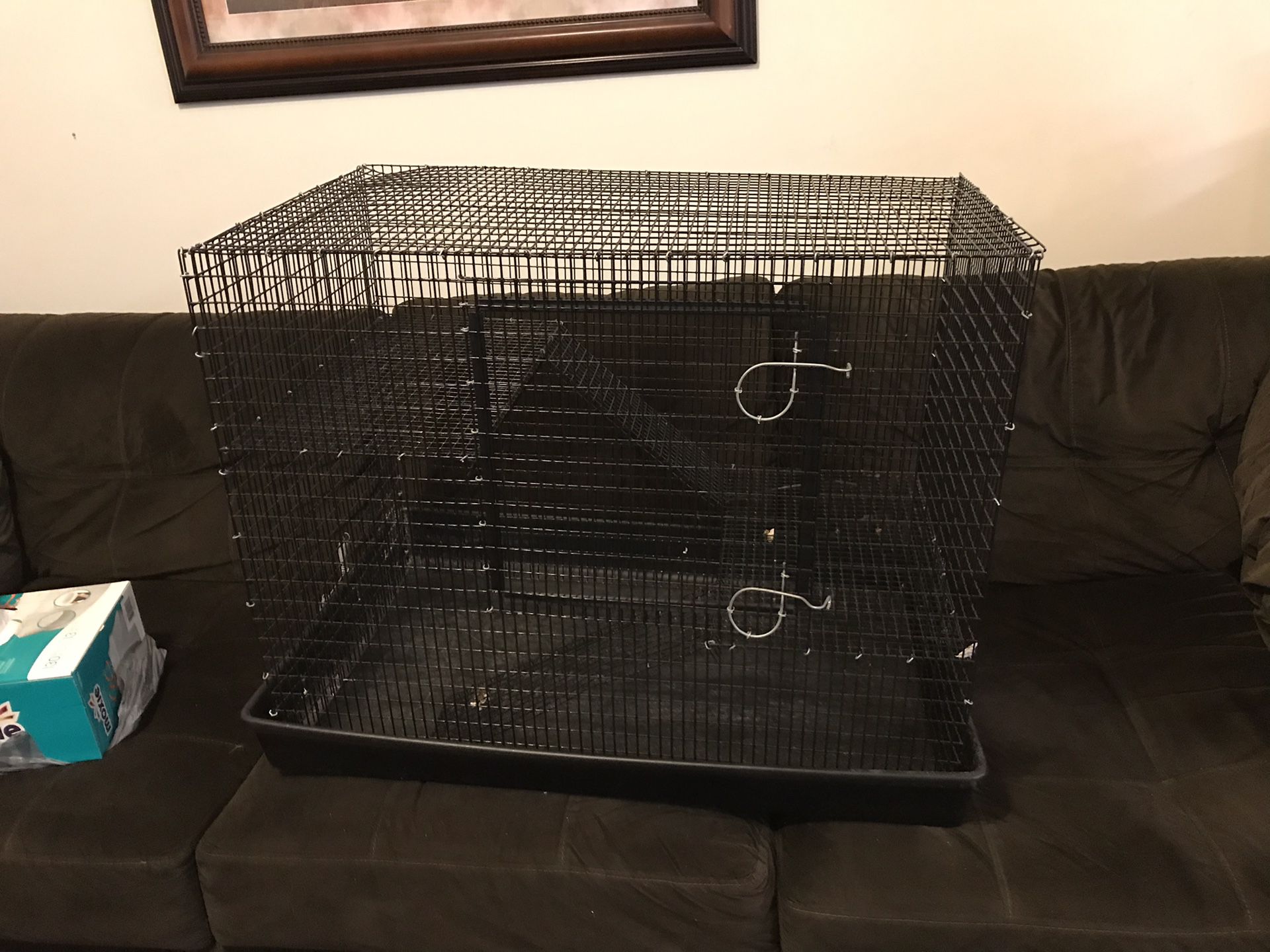 Rat cage