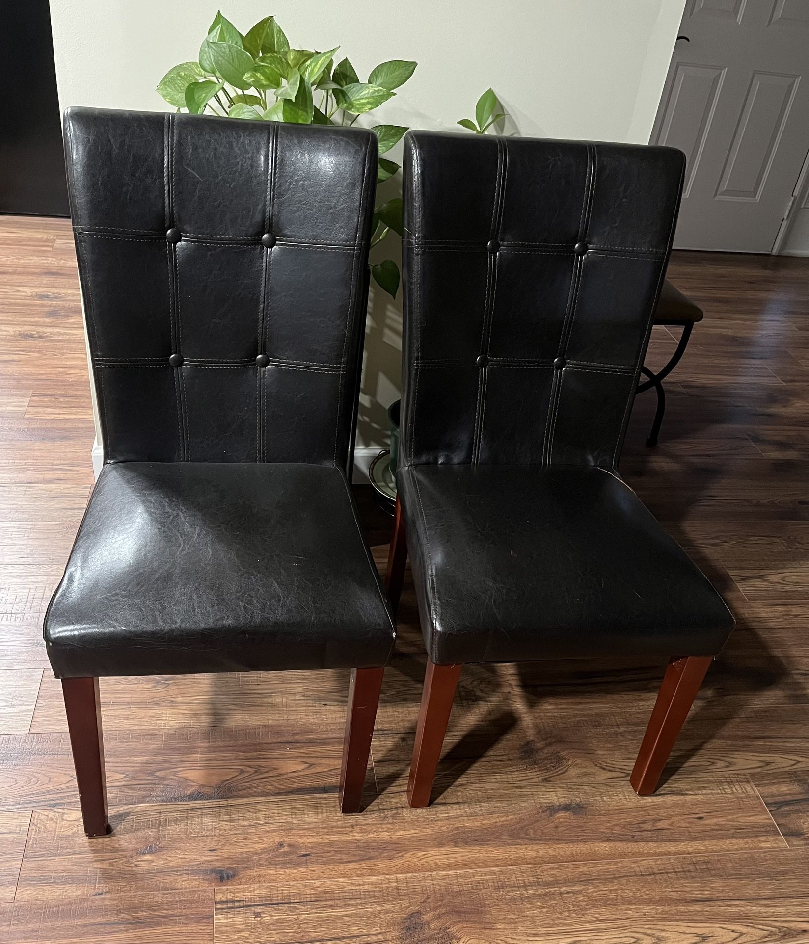 Dining Chairs 