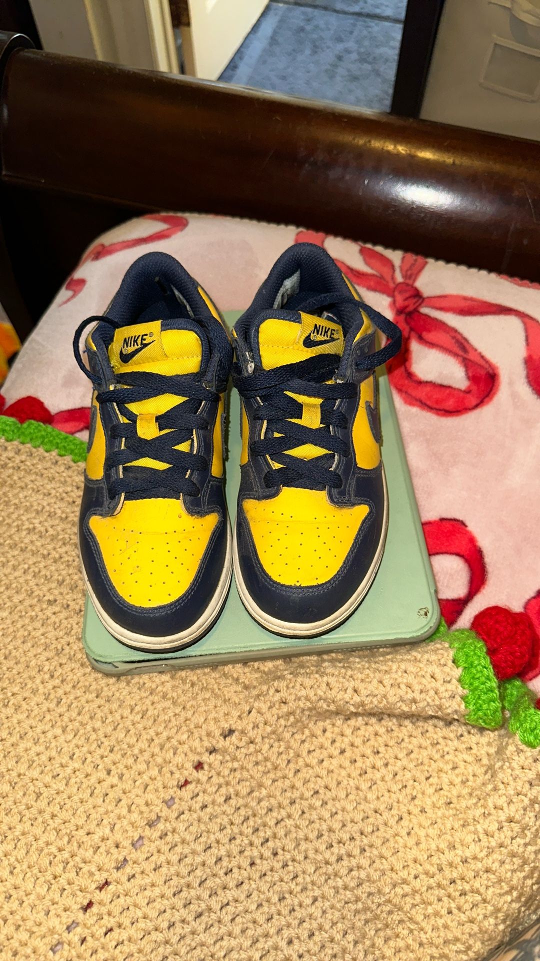 Nike Dunks Michigan