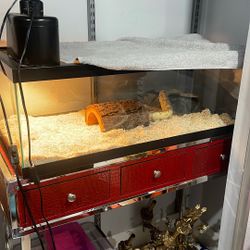 Snake Tank 