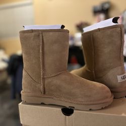 UGG CHESTNUT SHORT BOOT - Size 5.5 Women