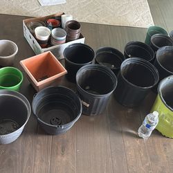 Plant pots bulk