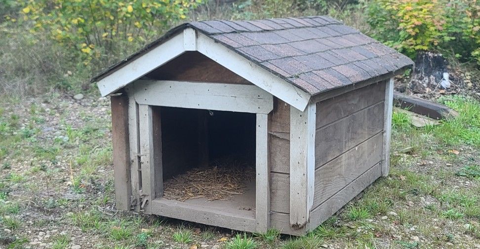 Dog House with Heater