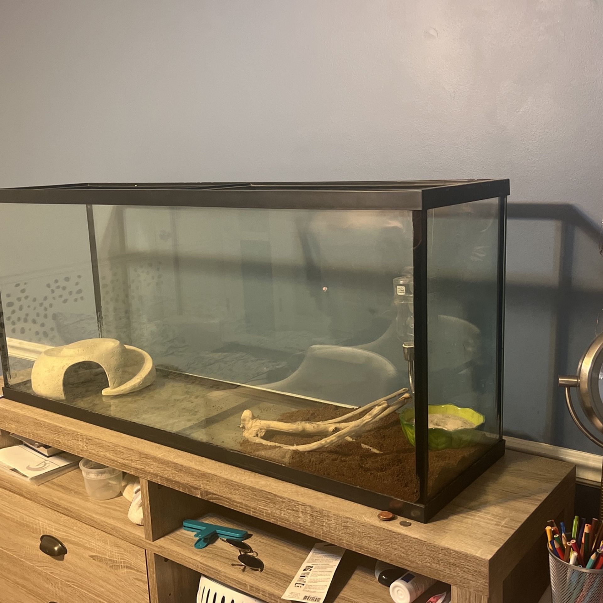 50 Gallon Tank