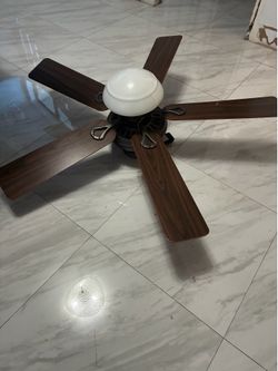 Ceiling light and fan