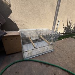 Bird Cage