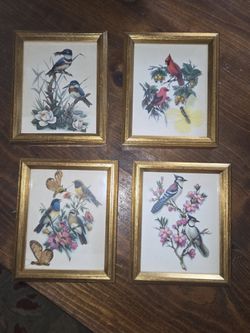 Beautiful Vintage Set of (4) Bird Prints In Gold Wooden Frames. (6" x 5")